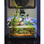 Modular Aquarium Light product image 7