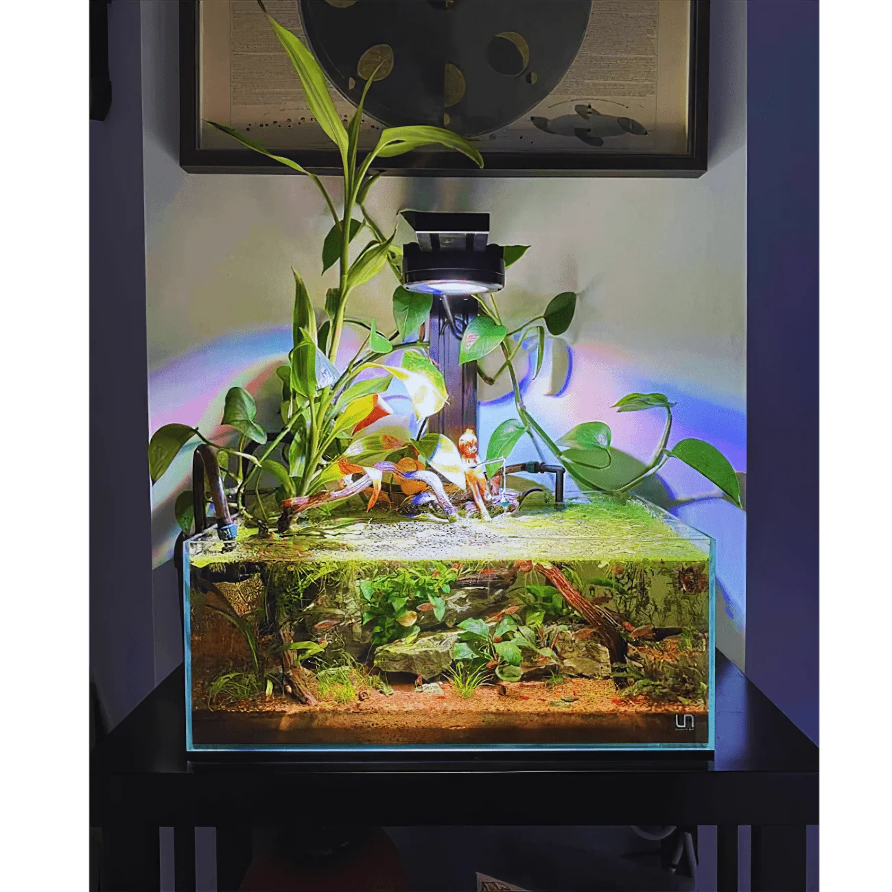 Modular Aquarium Light product image 7