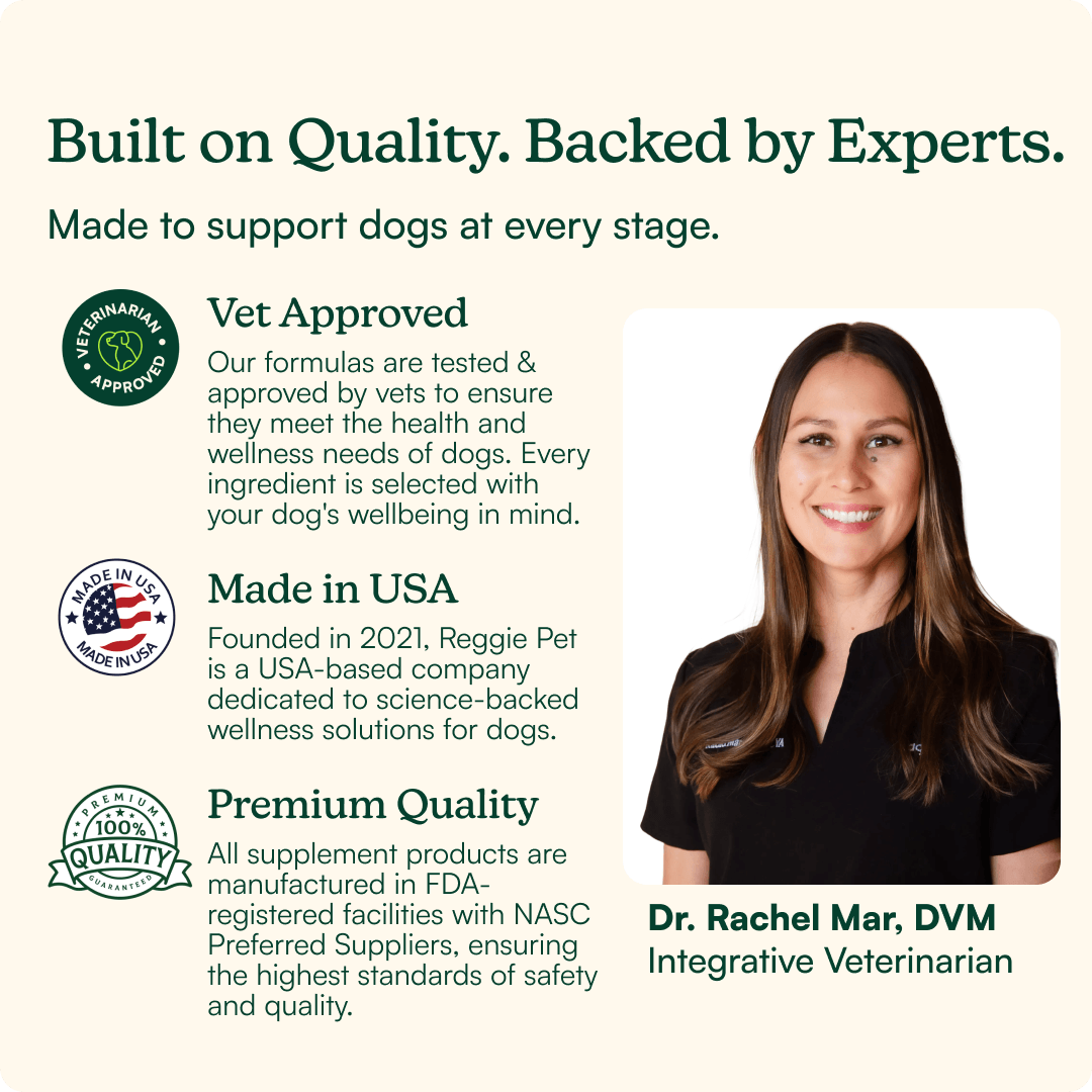 Dog Calming Supplement Chews product image 7