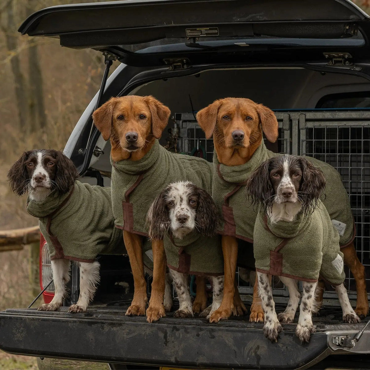 Dog Drying Coat product image 7