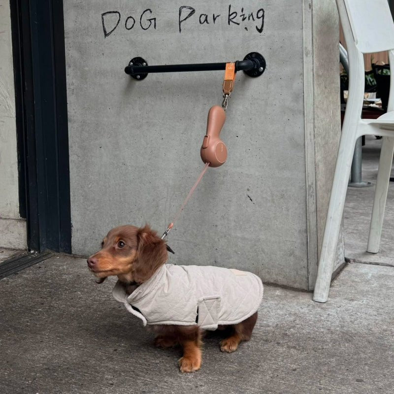 Retractable Dog Leash product image 7