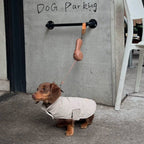 Retractable Dog Leash product image 7