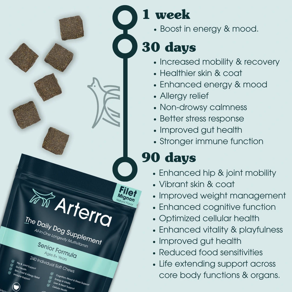 Adult Dog Multivitamin product image 7
