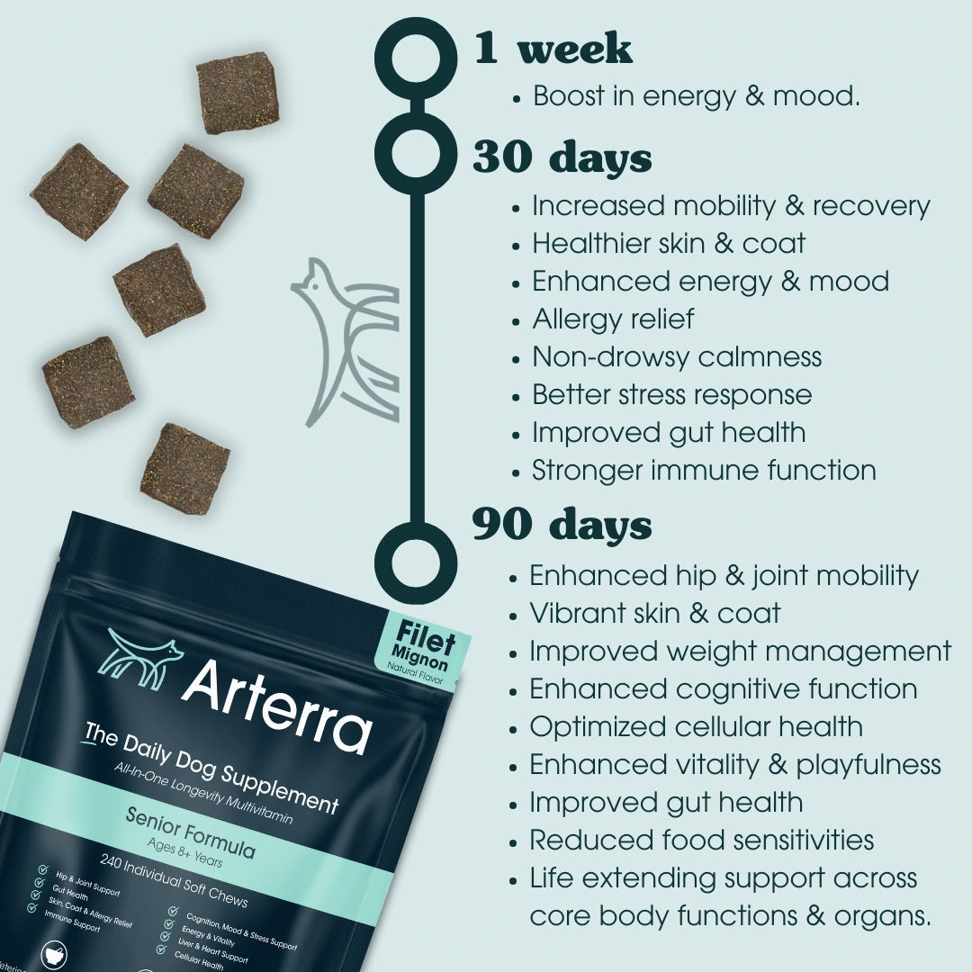 Adult Dog Multivitamin product image 7