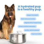 Dog Feeding Station product image 7