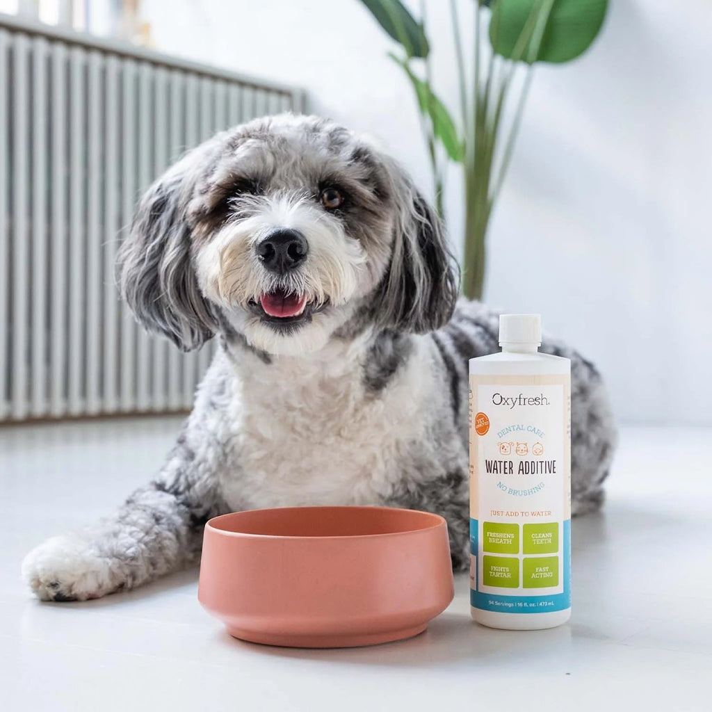 Pet Dental Water Additive product image 7
