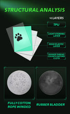 Dog Soccer Ball product image 7