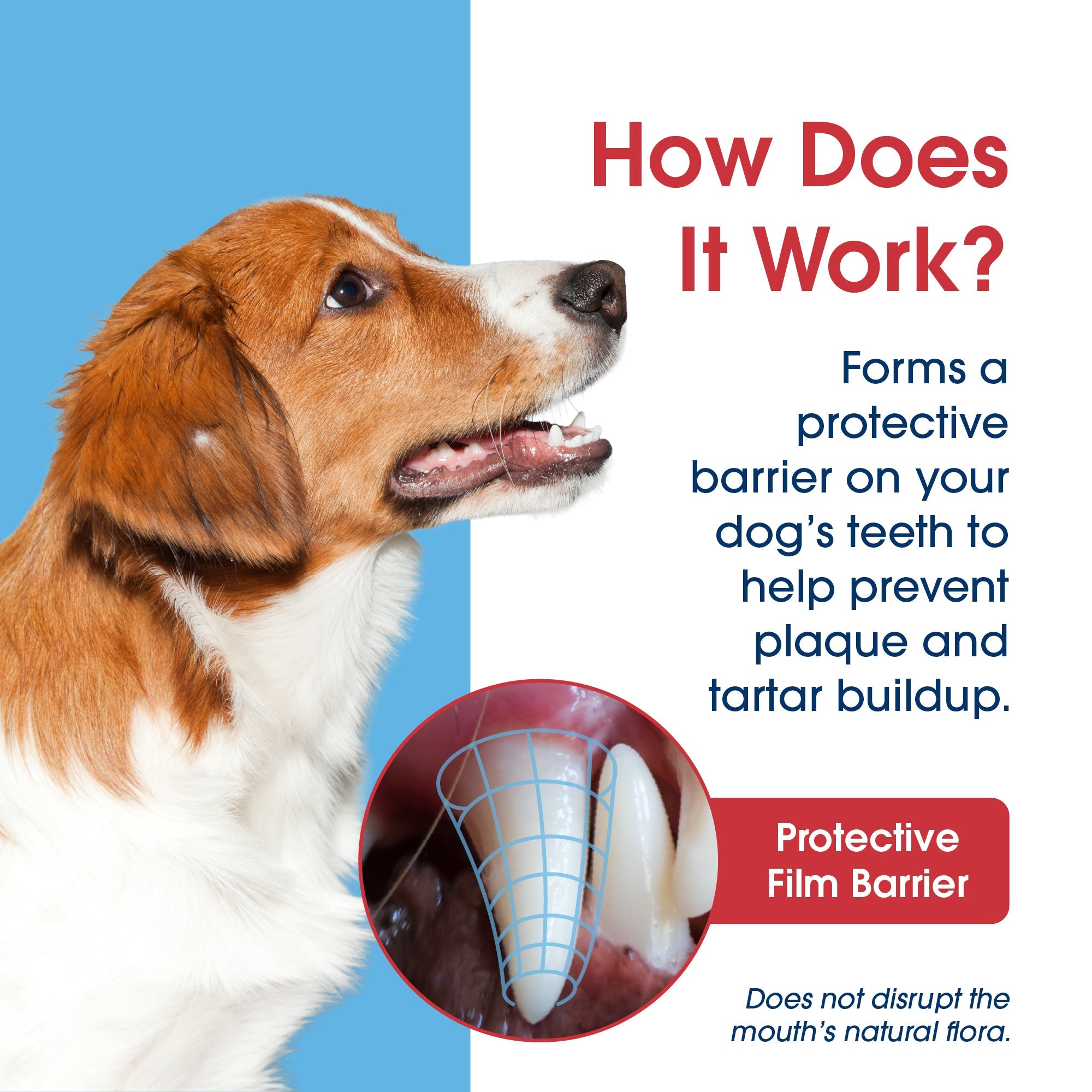 Dog Dental Water Additive product image 7