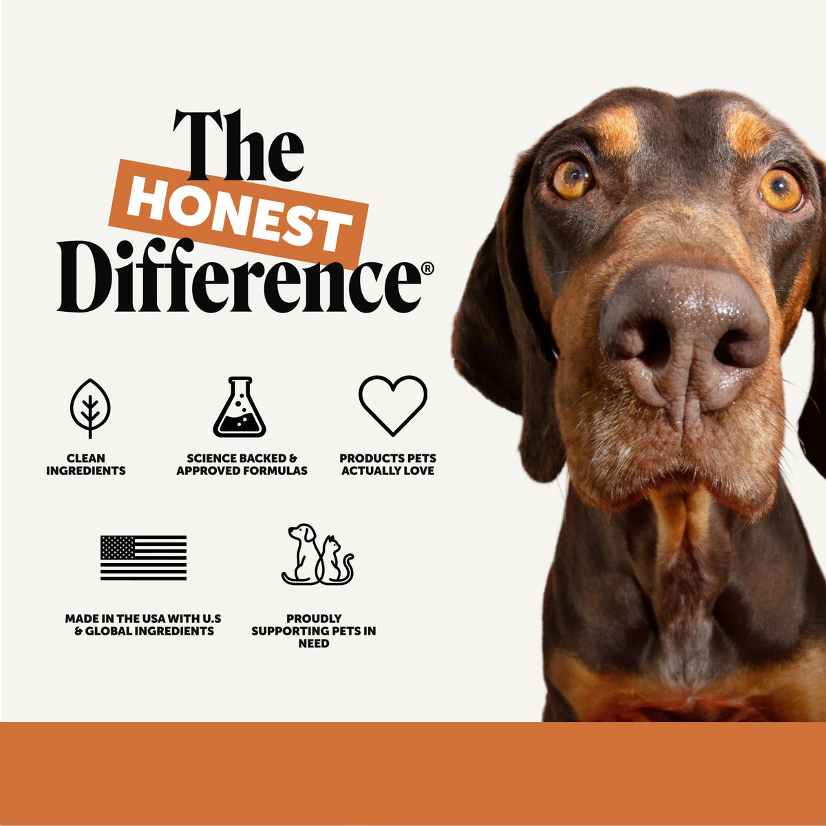 Flea and Tick Support Chews for Dogs product image 7