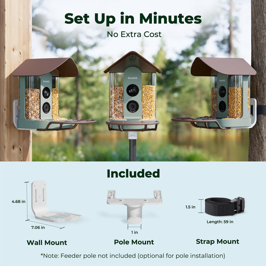 Smart Bird Feeder product image 7