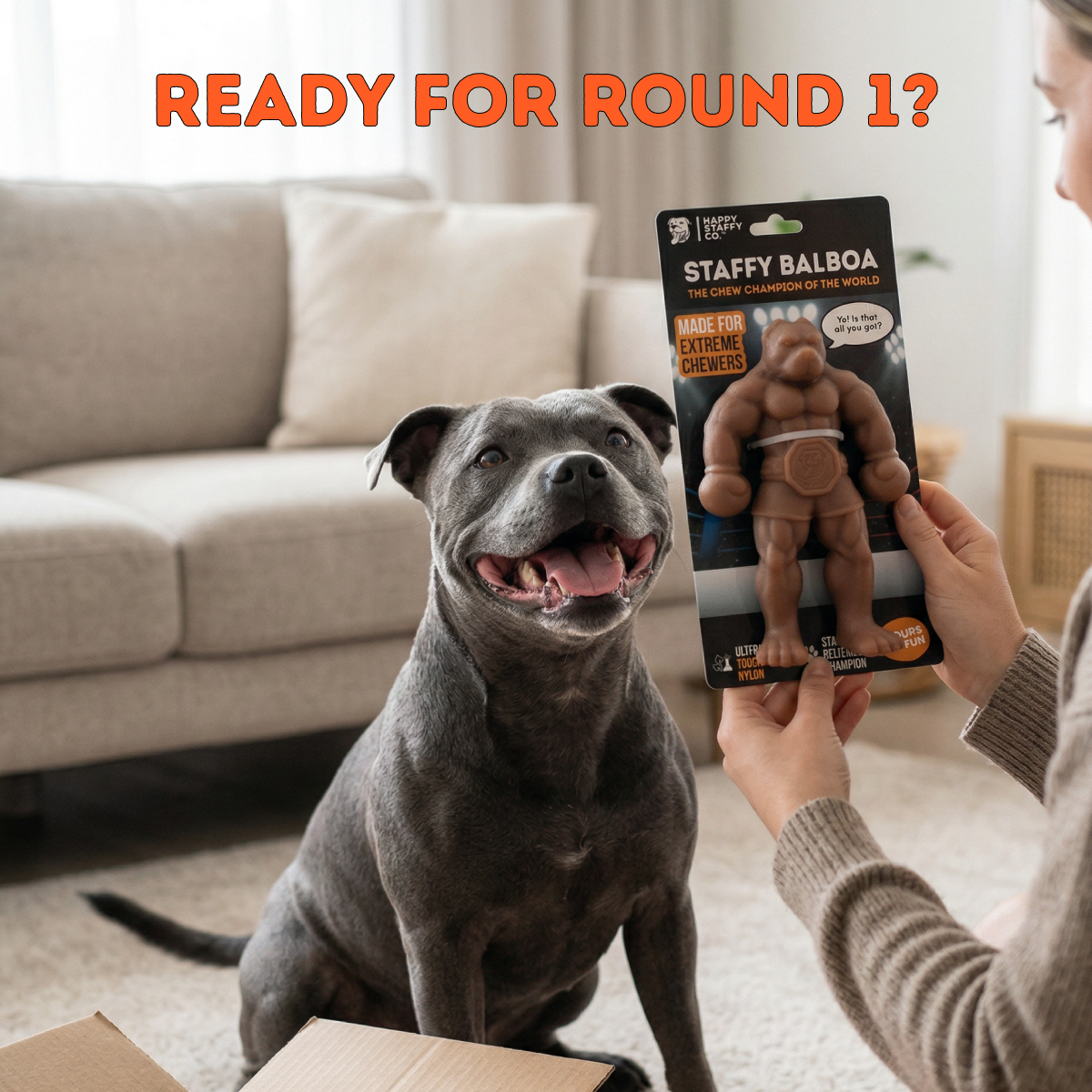 Dog Chew Toy product image 7