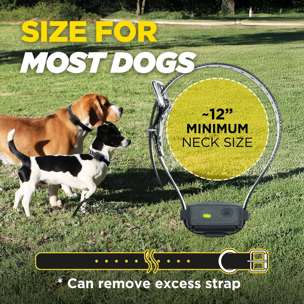 Vibration Bark Collar product image 7