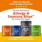 Dog Allergy and Immune Support Chews product image 7