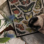 Cardboard Cat Scratching Board product image 7