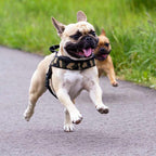 Dog Harness product image 7