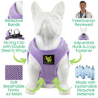 Step-In Dog Harness product image 7