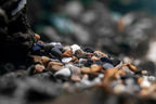 Aquarium Gravel product image 7