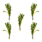 Aquatic Plants product image 7