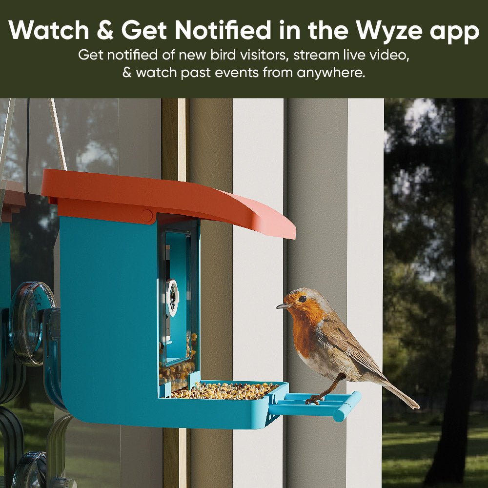 Bird Feeder product image 7
