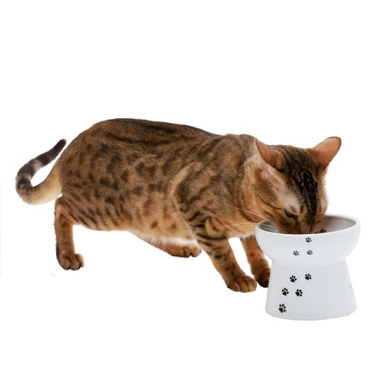 Cat Bowl Set product image 7