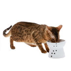 Cat Bowl Set product image 7