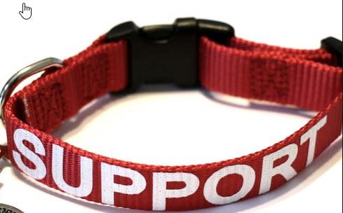 Support Dog Vest Package product image 7