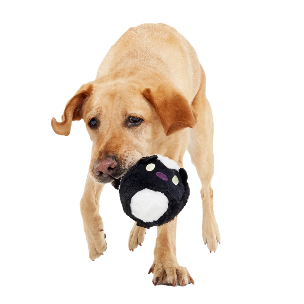 Dog Fetch Toy product image 7