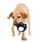 Dog Fetch Toy product image 7