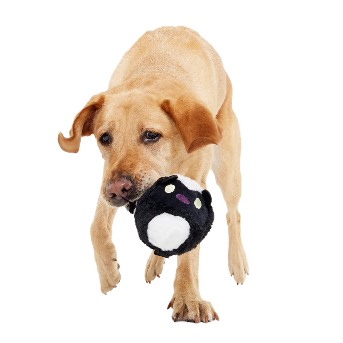 Dog Fetch Toy product image 7