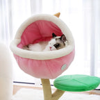 Cat Trees & Scratchers product image 7
