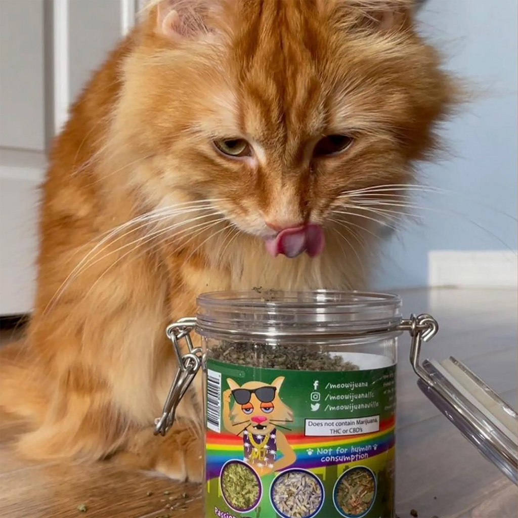 Catnip Mix product image 7