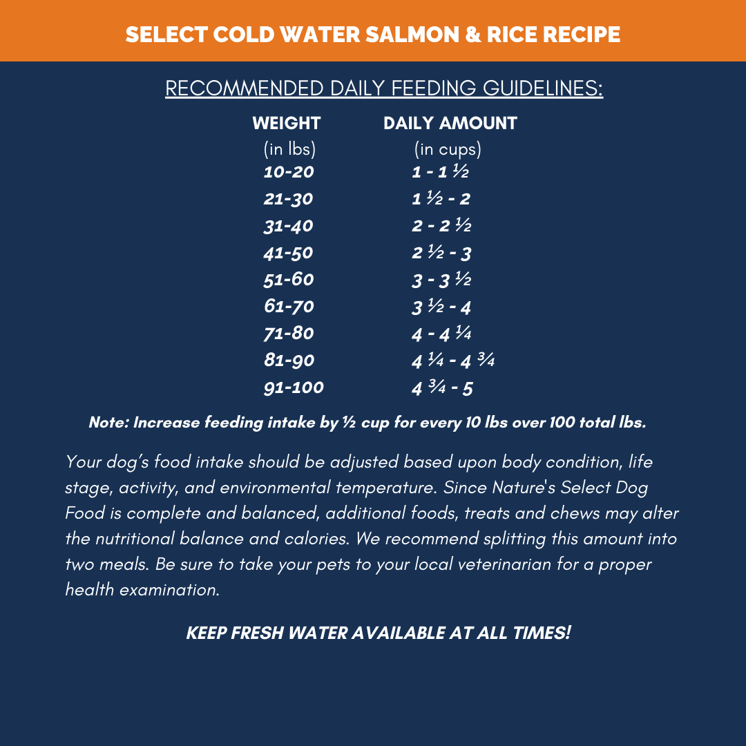 Dry Dog Food product image 7