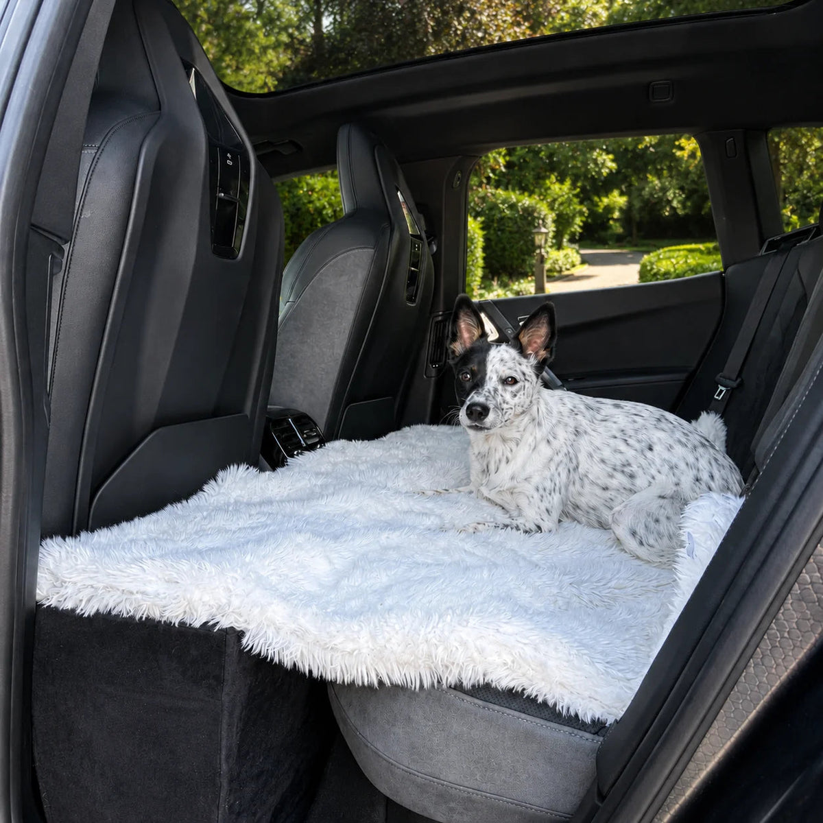 Waterproof Dog Blanket product image 7