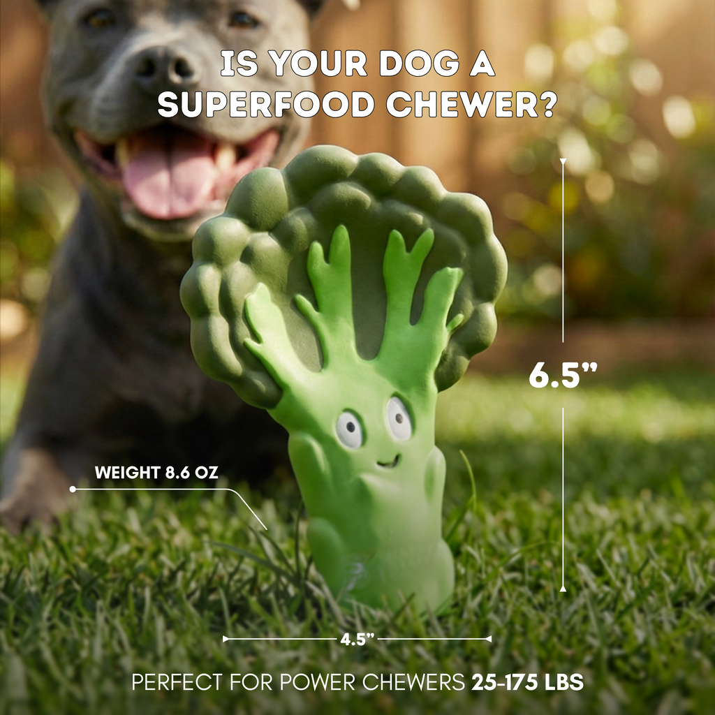 Dog Chew Toy product image 7