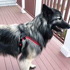Dog Harness product image 7