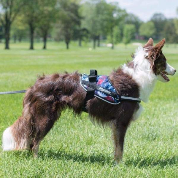 Dog Harness product image 7