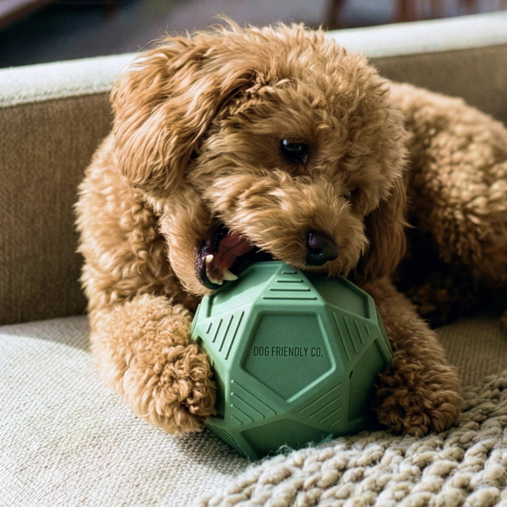 Treat-Dispensing Dog Ball product image 7