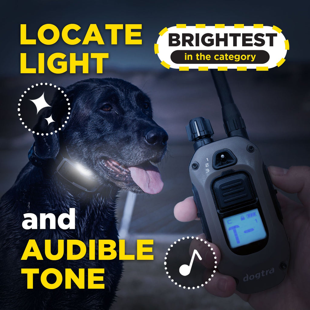 Dog Training Receiver product image 7