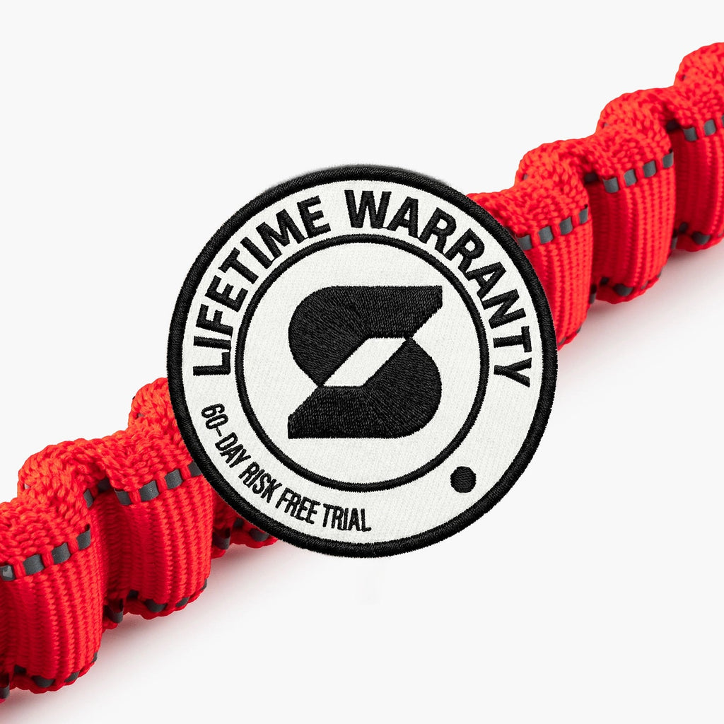 Bungee Dog Leash product image 7