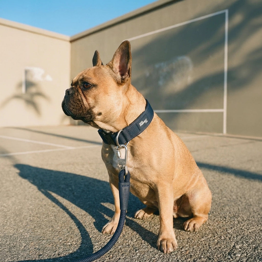 Tactical Dog Collar product image 7