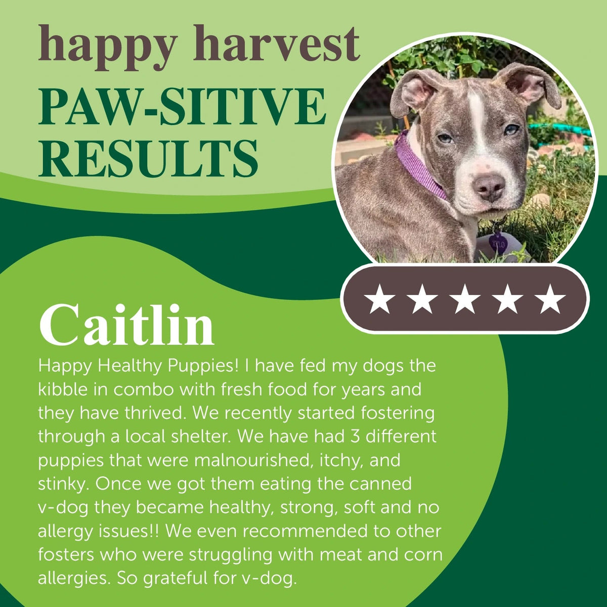 Soft Dog Food product image 7