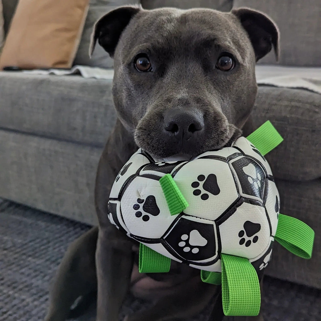 Soccer Ball Dog Toy with Tug Handles product image 7