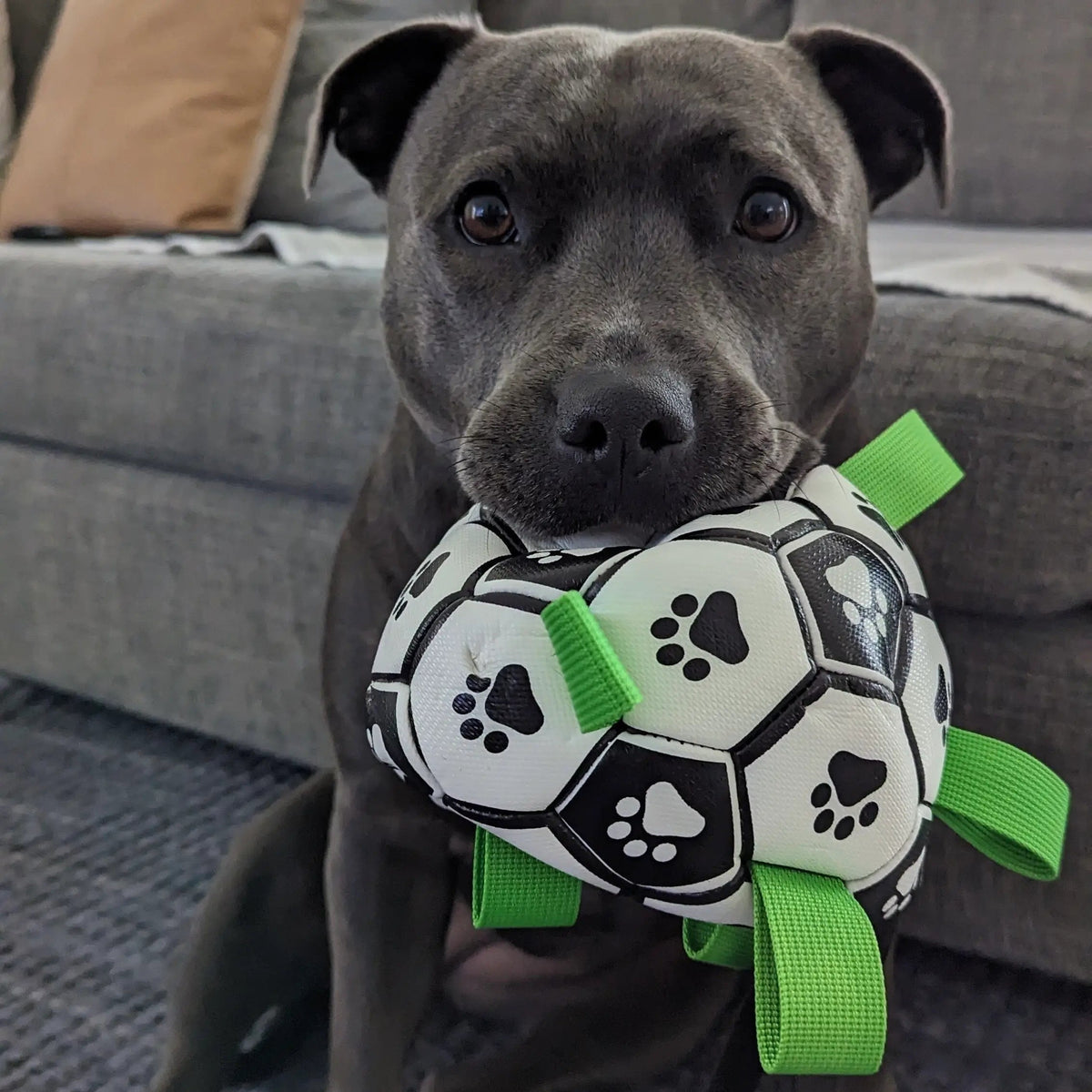 Soccer Ball Dog Toy with Tug Handles product image 7
