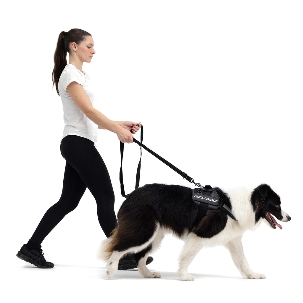 Dog Harness product image 7