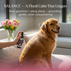 Dog Deodorizing Spray product image 7