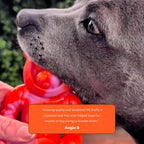 Dog Chew Toy Collection product image 7