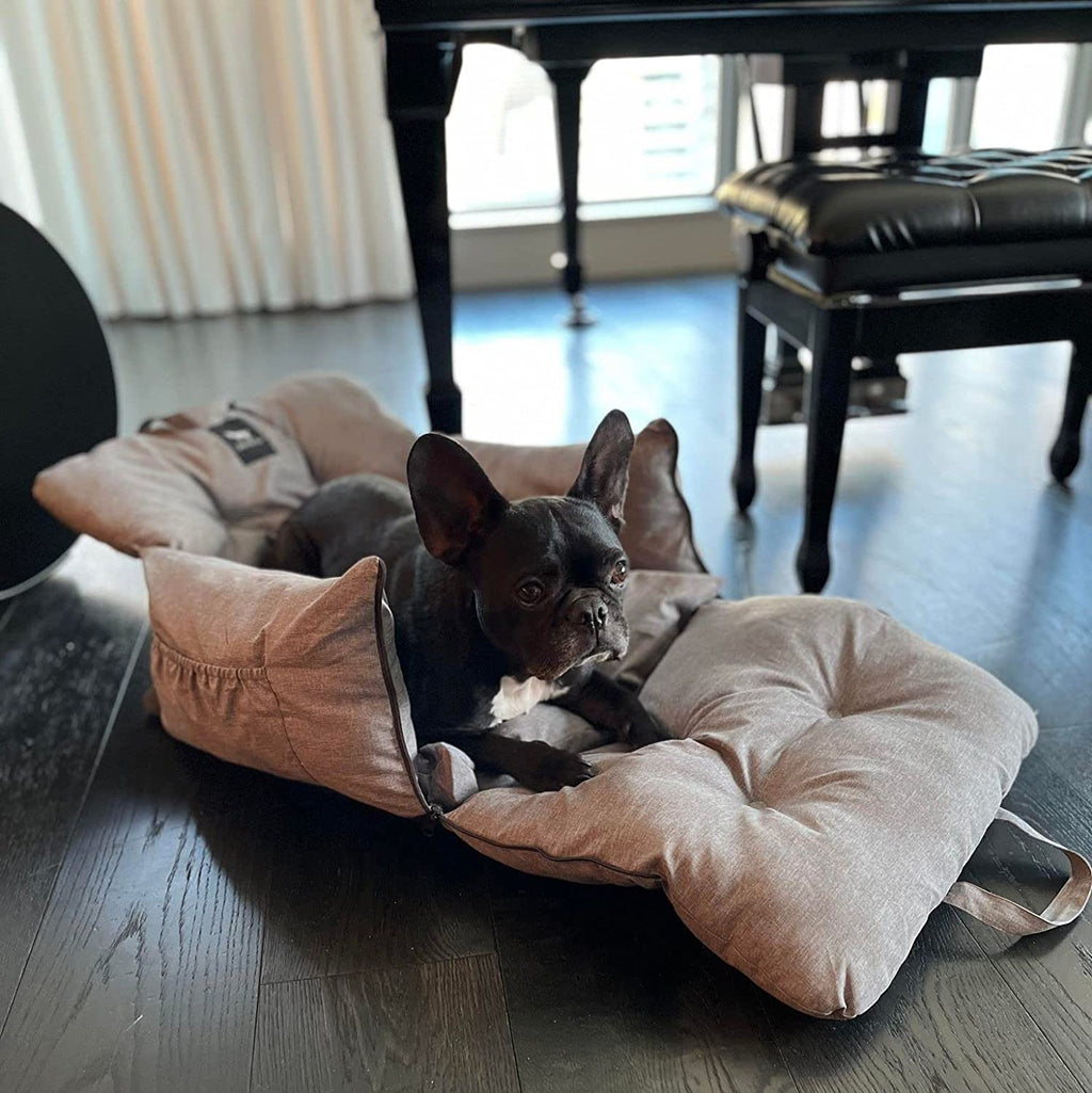 Pet Car Seat and Carrier for Dogs or Cats up to 25 lb, Water-Resistant Oxford Seat with Removable Cushion source image 8