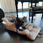 Pet Car Seat and Carrier for Dogs or Cats up to 25 lb, Water-Resistant Oxford Seat with Removable Cushion source image 8