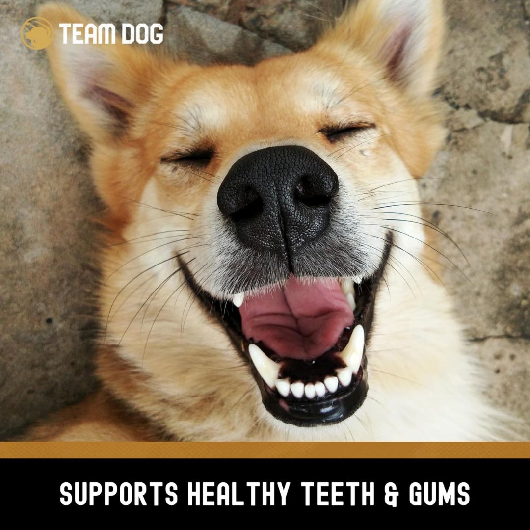 Freeze-Dried Beef Esophagus Dog Chews, Three-Piece Bag of High-Protein Treats for Supervised Chewing source image 8