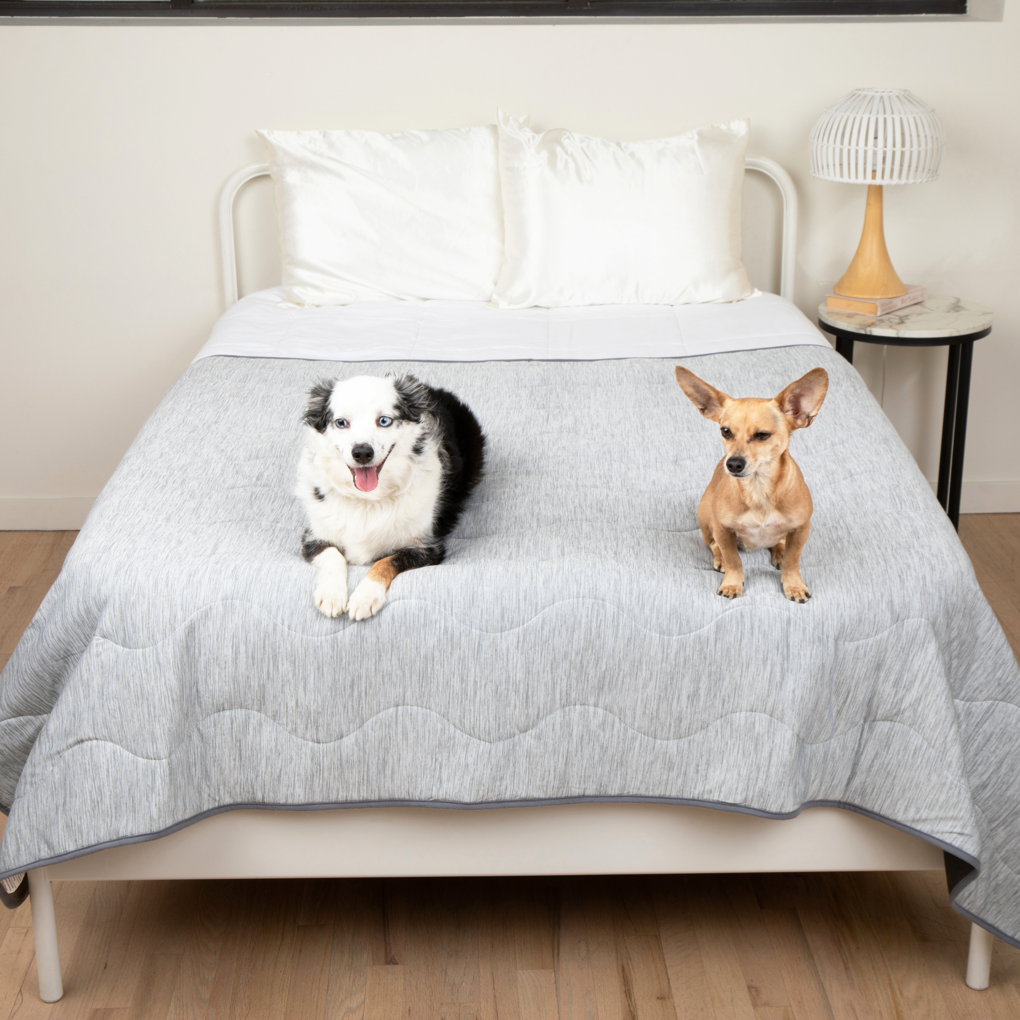 Cooling Waterproof Dog Blanket in Arctic Grey for Indoor Comfort and Furniture Protection, Two Sizes source image 8